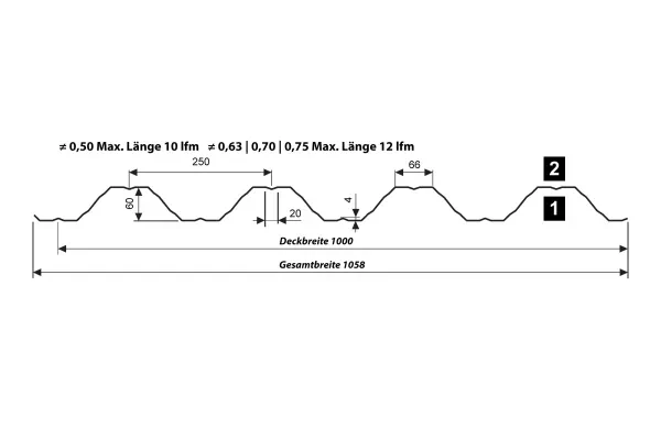 Trapezprofil T60 P Dach/Wand